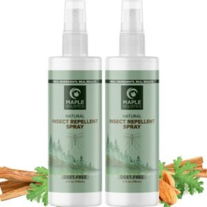 lotus-biscuits-candle